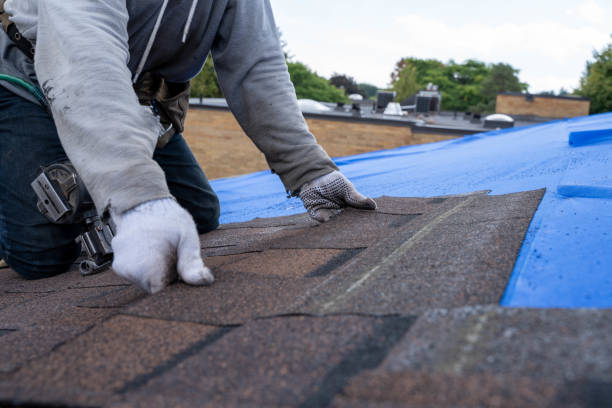 Roof Gutter Cleaning in North Pearsall, TX