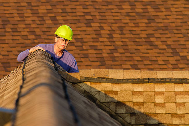 Best Roof Gutter Cleaning  in North Pearsall, TX